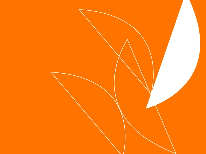 Bildbeschreibung (optional)